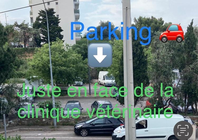 Location Chambre Avec Salle De Bain Et Partie Commune Sea View & Mountain View Renting 1 Of 3 Bedrooms With Shared Common Space 3 Bdrm Apt Not 1 Bdrm Plus Clime Ou Ac باستيا المظهر الخارجي الصورة